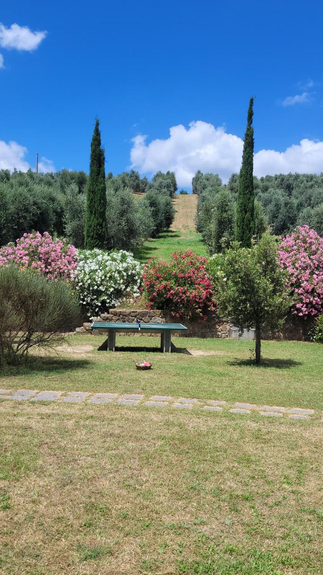 Agriturismo Podere Casalone Limite Eksteriør bilde